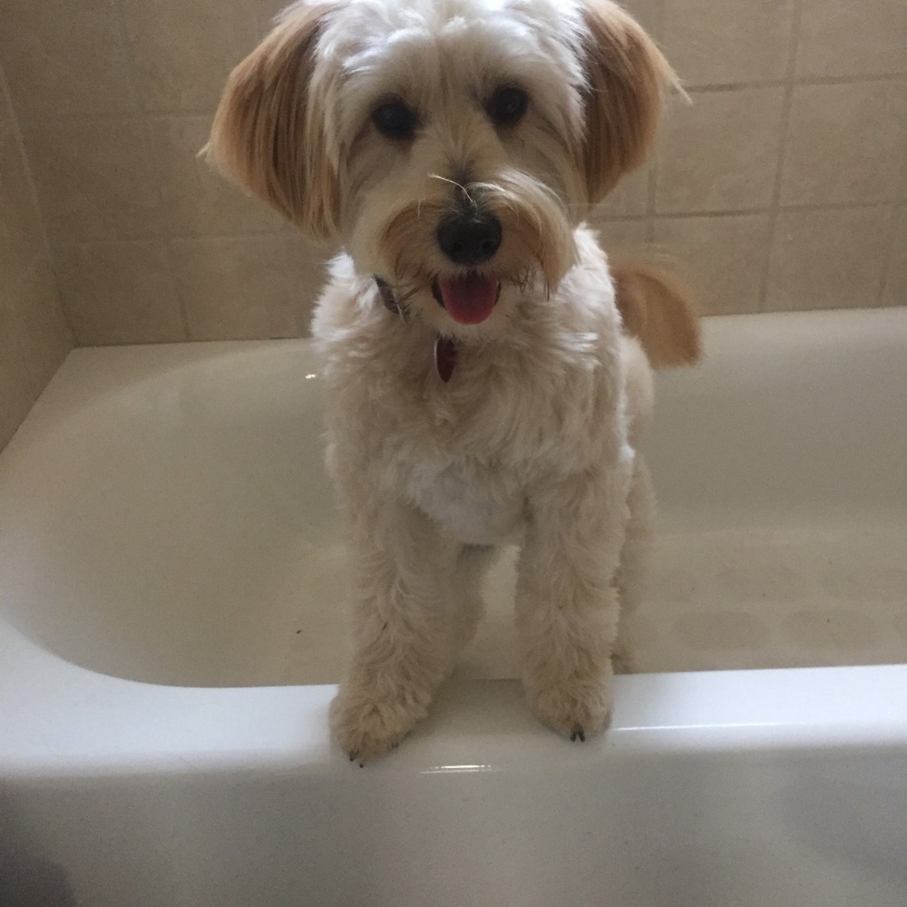 Meet your Posh Ambassador Lynn